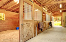 Coniston Cold stable construction leads